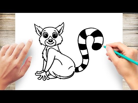 How to Draw Lemur Step by Step
