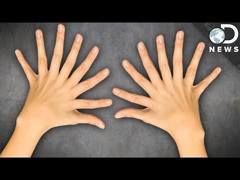 Why Do We Have 10 Fingers and 10 Toes?