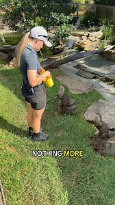 9.6K views · 187 reactions | Intan and Saigon are always ready for feeding time 簾簾  Keeper Sam #sydneyzoo #zoo #fyp #otter #feedingtime #food | Sydney Zoo | Facebook