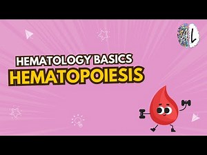 🩸 How Red Blood Cells Are Made! Step-by-Step Hematopoiesis Explained