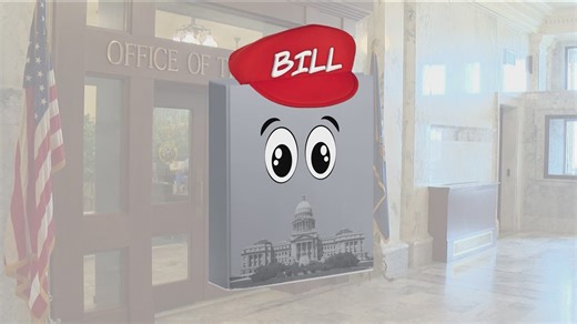 The 208: How does a bill become a law?