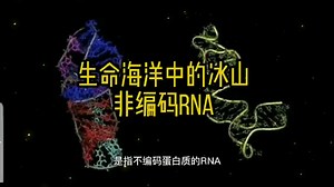 生命海洋中的冰山：非编码RNA