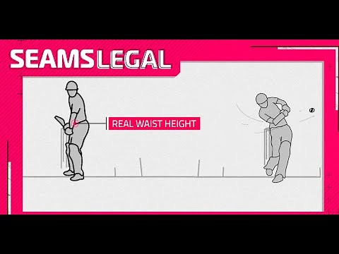 Cricket Rules Explained: When Is A Waist High Full Toss A No Ball?