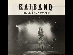 甲斐バンド/甲斐よしひろ Acoustic Premium Night