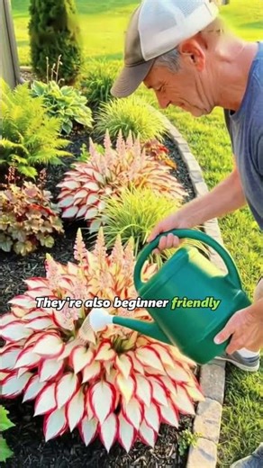 The Secret to a Full and Beautiful Shade Garden