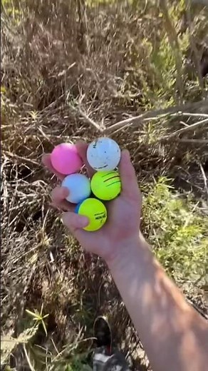 How much I make selling golf balls!