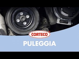 Sostituzione Puleggia | Corteco