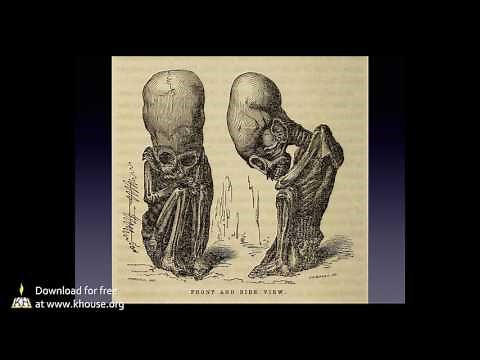 SP2014 Session 14 Marzulli