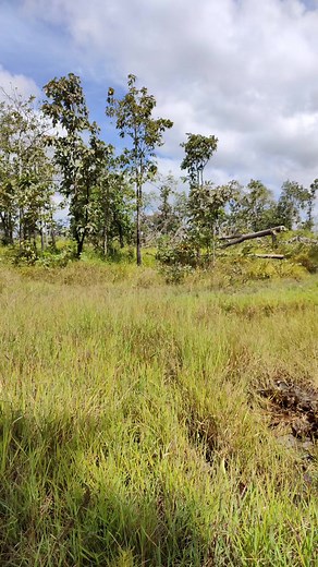 Natural life | Natural Life