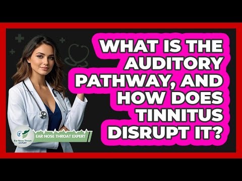 What Is The Auditory Pathway, And How Does Tinnitus Disrupt It? - Ear Nose Throat Expert