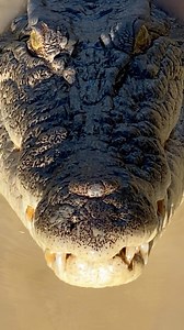 550K views · 11K reactions | Thousand Yard Stare  Our big boat has...