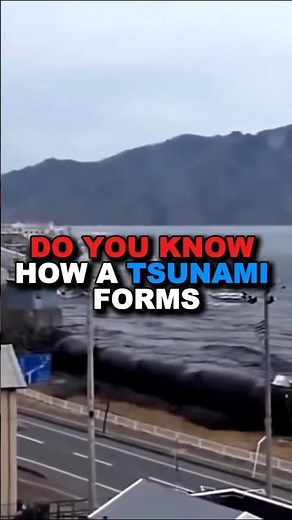 How A Tsunami Actually Forms #science #tsunami #education