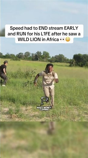 SPEED gets ATTACK3D by LION 😳 | #ishowspeed #fyp