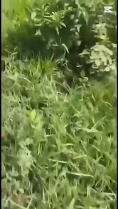 169K views · 10K reactions | | ဗိုလ်ကြီး တဦးအပါ စကစ ၇ ဦးသေဆုံးခဲ့တဲ့...