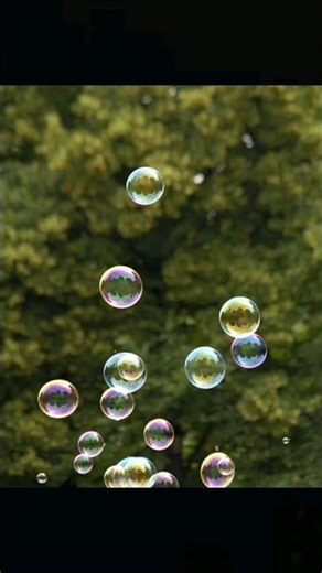 How Things Look Under a Microscope!