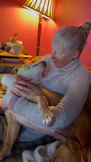 ‘I just let Auntie Kerry tickle my tummy for the first time.’ | The Maggie Fleming Animal Hospice and The Karass Sanctuary