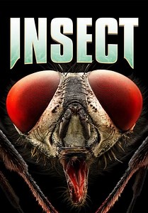 Insect (2018)