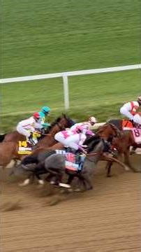 The Full Kentucky Derby 2026 Race — Watched LIVE from Box Seats 🐎🌹 (Churchill Downs)