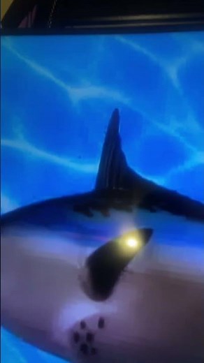 SpongeBob intro fandub aidendish Nickelodeon