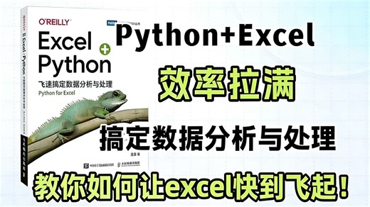 Python Excel简直就是神仙组合！建议所有想学Python的同学，都去死磕这本书！快速搞定数据分析与处理，让你的Excel飞起来！
