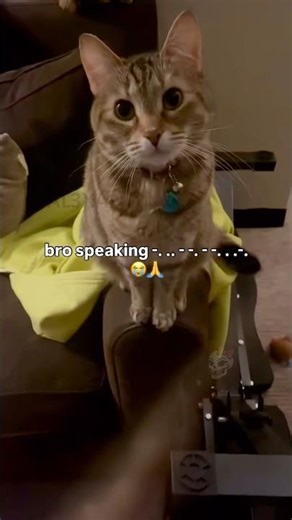 #relatablememes 🗣️