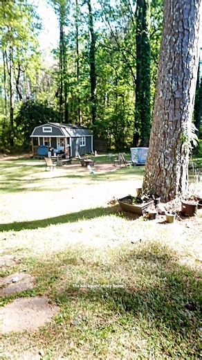 $75,000 in rental income from my BACKYARD?!