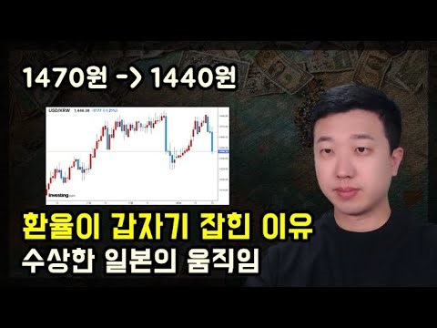 Why the Exchange Rate Sudden Decline and Japan's Yen Carry Movement