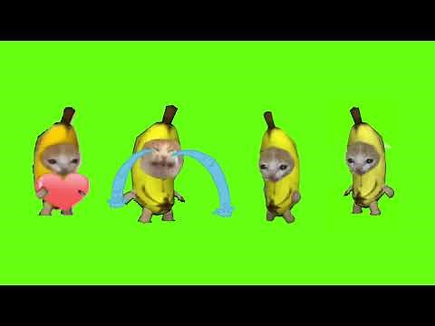 All Banana Cat green screen Happy,Crying,Running,Stand