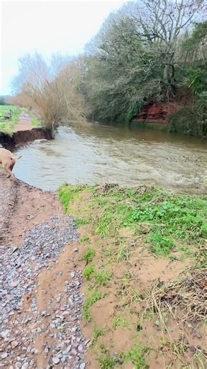 Why is the path marked closed 😂😂😂 #funny #erosion #storms ukstorm