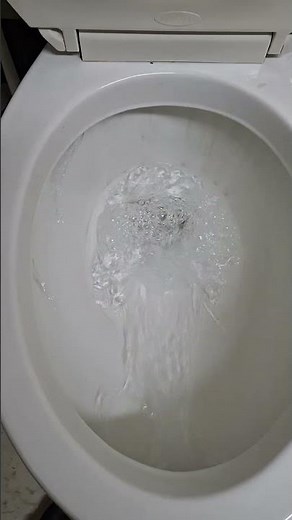 2002 Eljer Savoy Toilet.