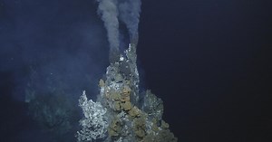 Deep-sea fish hijack hydrothermal vents to incubate their young