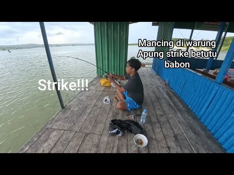 Mancing di warung apung wko dapet betutu babon
