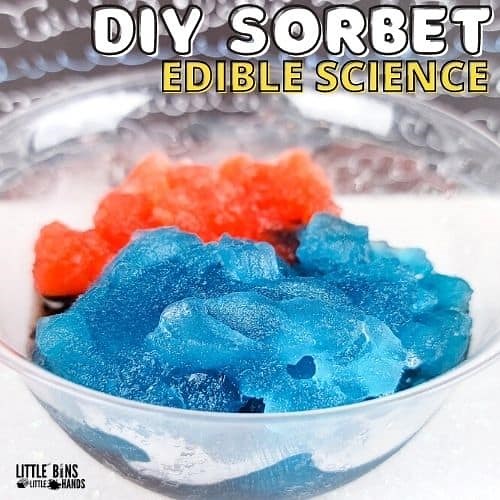 How To Make A Slushie In A Bag