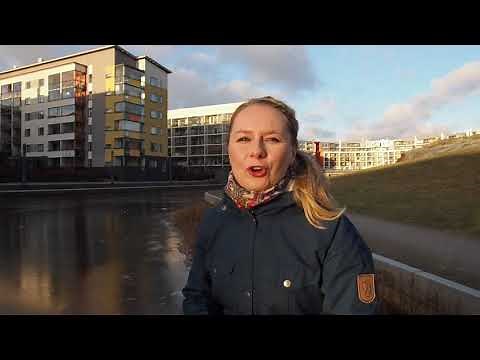 Suomen verbityyppi 3