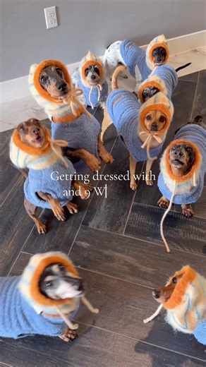 Adorable Guinea Pig Hats for the New Year