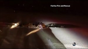 Saint Bernard Rescued After Falling Into Frozen Lake