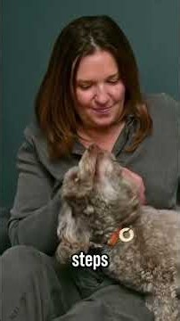 How To Stop A Dog Barking FAST! Dogs Behaving Very Badly