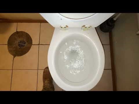 🚽 Bathroom tour: Mancesa Toilet at a gas station at Interior South Dakota
