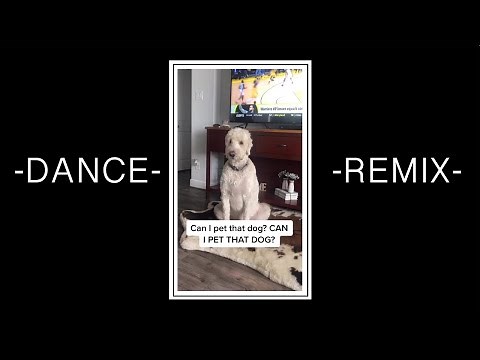 Pet That Dog - Dance Remix