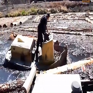 transportation and logging | Survival skills