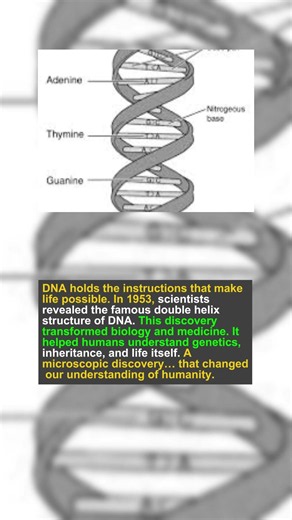 Stolen Credit: The True Story Behind the DNA Discovery