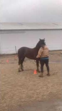 Kim Stiens and Atlas Rose Showmanship pattern 1