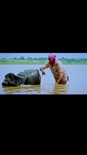 #funny #viral #comedy #telugumemes #memes #funnymemes