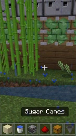 how to build sugarcane farm in Minecraft||Minecraft sugarcane farm||#minecraft #shorts