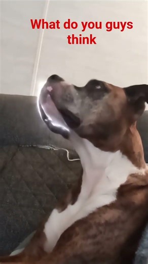 he is now a human robot