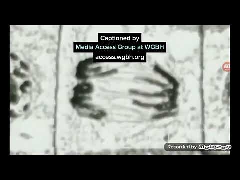 THE BIG BANG THEORY INTRO