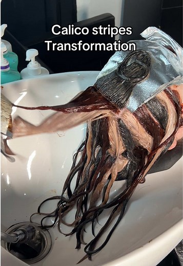 Calico Stripes Hair Transformation for a 16th Birthday