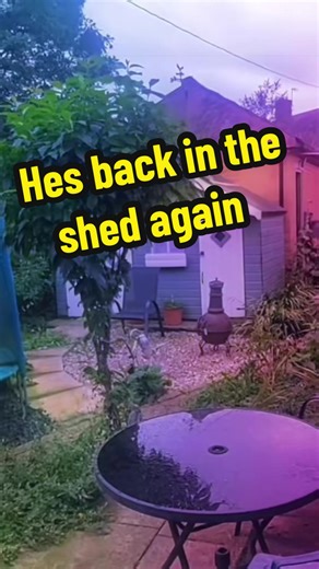 Somthing strange #theLNJfyp @dyspraxicmike🎹