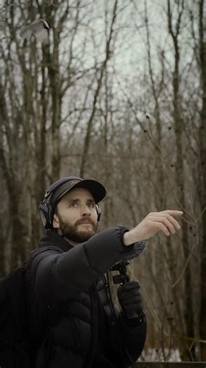 A bird landed on my hand 🐦 I had set out to record the soundscape of a park in Quebec, where the trees creaked intensely. After standing still for 15 minutes, I began to notice many birds around me, very close. Among them were chickadees and nuthatches. These birds started climbing on my microphones and even on me. A few days later, I returned to the park to observe their behavior. The same scenario: I stood still for about ten minutes, and there they were again. I had the idea to raise my hand
