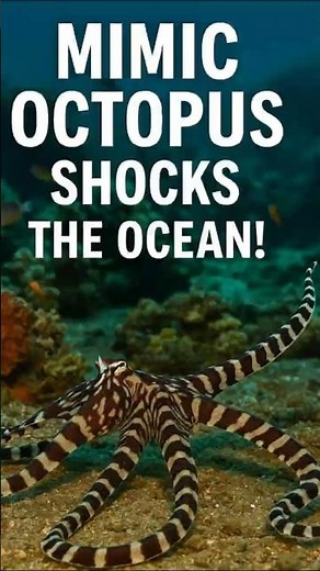 Mimic Octopus Turns Into a Sea Snake 🐙 | Incredible Ocean Transformation | Gurish Discovery